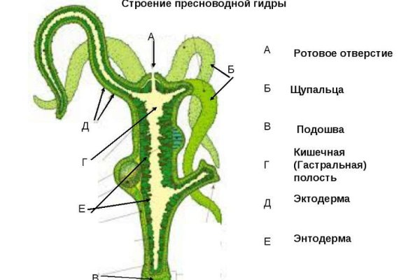 Kraken17 at сайт