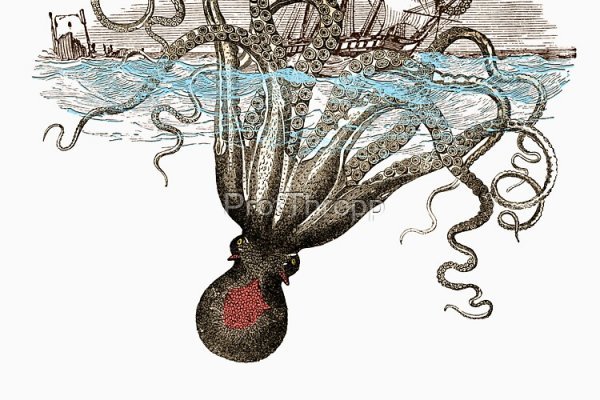 Kraken зеркало krakentor site