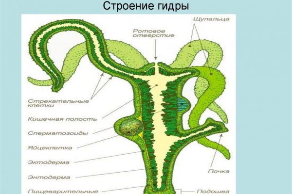 Kraken зеркало krakens13 at