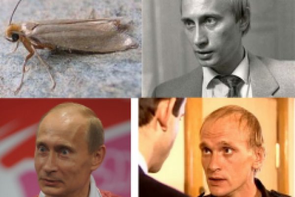 Kraken ссылка onion 2kmp