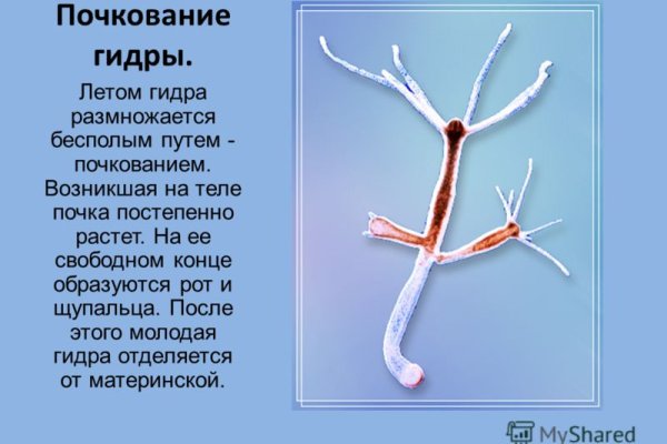 Что такое кракен магазин